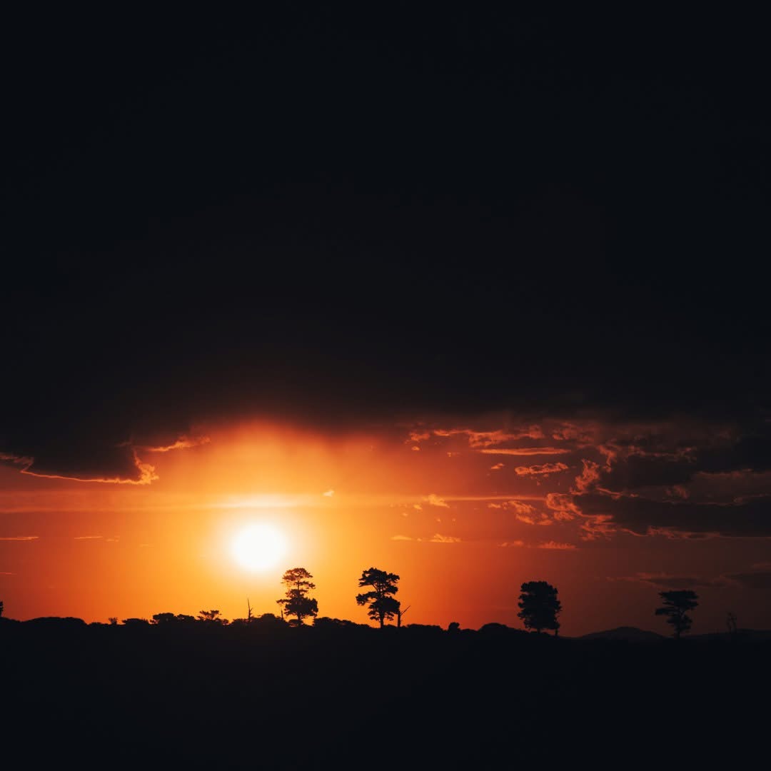 Golden sunset above the trees at Umbono